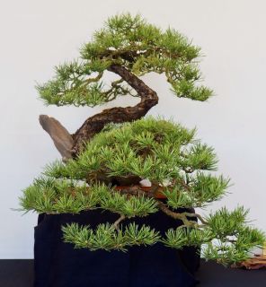 P5030004
