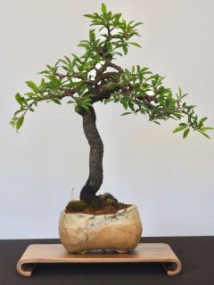 P5030005