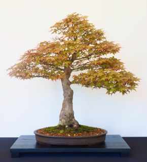 P5030006