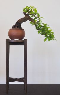 P5030009