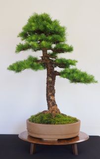 P5030011