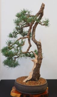 P5030014