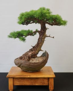 P5030015