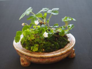 P5030023